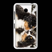 Coque Nokia Lumia 635 Chiot Saint Bernard