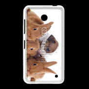 Coque Nokia Lumia 635 Gardien de lapins