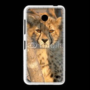 Coque Nokia Lumia 635 Jeune félin
