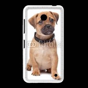 Coque Nokia Lumia 635 Cavalier king charles 700