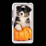 Coque Nokia Lumia 635 Chiot Berger Australien 25