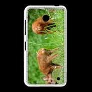 Coque Nokia Lumia 635 Chevreuil PB 1