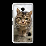 Coque Nokia Lumia 635 Portrait de chat PR