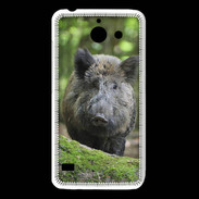 Coque Huawei Y550 Sanglier dans les bois