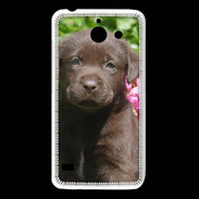 Coque Huawei Y550 Chien labrador chocolat 3