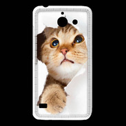 Coque Huawei Y550 Chaton caché