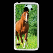 Coque Huawei Y550 Cheval arabe robe marron et blanche