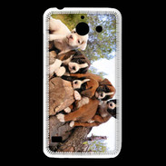 Coque Huawei Y550 Chiots Boxer sur un tronc d''arbre