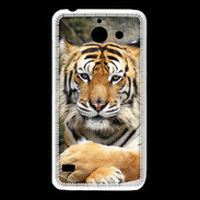 Coque Huawei Y550 Tigre