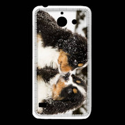 Coque Huawei Y550 Chiot Saint Bernard