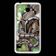 Coque Huawei Y550 Serpent Python Royal