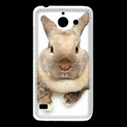 Coque Huawei Y550 Portrait de lapin