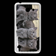 Coque Huawei Y550 Chatons musiciens