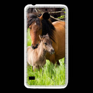 Coque Huawei Y550 Cheval et poulain