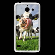 Coque Huawei Y550 Humour vache 10