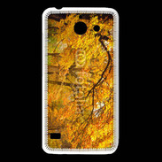 Coque Huawei Y550 Arbres en automne