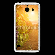 Coque Huawei Y550 Automne, vignes, couché de soleil