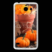 Coque Huawei Y550 Citrouilles 3