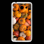 Coque Huawei Y550 fond de citrouilles automne