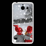 Coque Huawei Y550 hiver 5