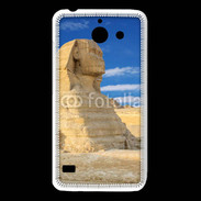 Coque Huawei Y550 La Sfonge