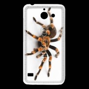 Coque Huawei Y550 Araignée tarentule