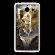 Coque Huawei Y550 spéléologie