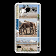 Coque Huawei Y550 La Camargue