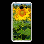 Coque Huawei Y550 Champs de Tournesol