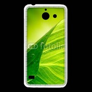 Coque Huawei Y550 Feuille écologie