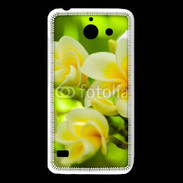 Coque Huawei Y550 Fleurs Frangipane