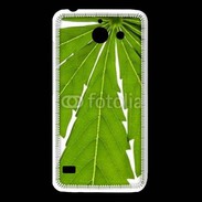 Coque Huawei Y550 Feuille de cannabis 4