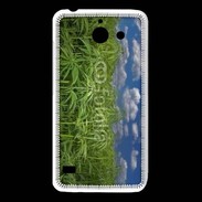 Coque Huawei Y550 Champs de cannabis