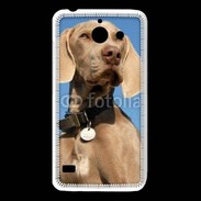 Coque Huawei Y550 Chien de chasse Braque