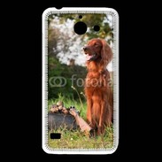 Coque Huawei Y550 chien de chasse 300