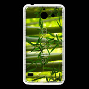 Coque Huawei Y550 Forêt de bambou