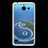 Coque Huawei Y550 Zen vue aérienne