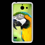 Coque Huawei Y550 Perroquet