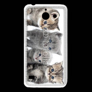 Coque Huawei Y550 Groupe de chatons