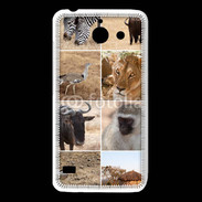 Coque Huawei Y550 Les animaux de la savane