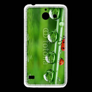 Coque Huawei Y550 Coccinelle