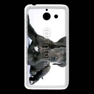 Coque Huawei Y550 Dogue allemand noir