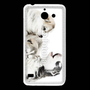 Coque Huawei Y550 Trio de chiots