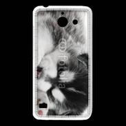 Coque Huawei Y550 Chiot Husky