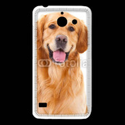 Coque Huawei Y550 Chien Golden