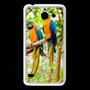 Coque Huawei Y550 Duo de perroquets