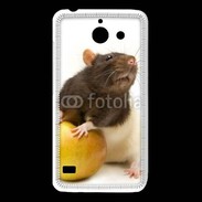 Coque Huawei Y550 Rat bicouleur