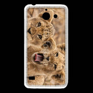 Coque Huawei Y550 Lionceaux