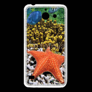 Coque Huawei Y550 Etoile de mer