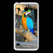 Coque Huawei Y550 Macaw 1